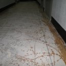 보은여관 이미지