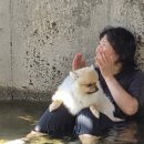 캠핑포유펜션 | 가평 계곡 1박2일 여행(펜션 후기)