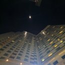 지에스25 내곡플라자 | [부산 여행] 해운대 한화리조트 &amp; 빛축제 여행 후기(feat. 겨울바다)