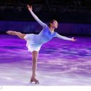 평화의 메세지 이미지