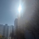 성원유통 | 성북구 정릉동 정릉성원아파트 저층아파트 베란다 콤비블라인드와 거실 차르르 쉬폰 속지커튼 설치 후기