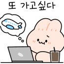 제주 別天地 이미지