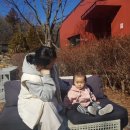 더팜존 이미지