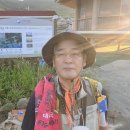 보성터미널앞 이미지