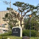 화룡미니양꼬치 | [충주] 호텔 더베이스 2인 온돌룸 : 호암공원앞 예쁜 카페가 있는 호텔 / 아이와 충주여행