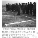 시영이네 하우스 이미지