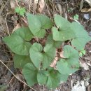 세신농장 이미지