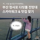 다릿돌전망대관광안내소 | 부산 청사포 다릿돌 전망대 스카이워크 해변 캡슐 열차 주변 조개 구이 맛집
