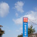 대일조명 이미지