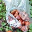 현동농장 이미지