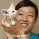 여우 이미지