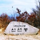 23년10월26일 (전북 정읍)내장산 산행 안내**가을 단풍이 아름다운 한국 최고의 단풍 관광지* 이미지