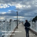 해파랑길 19코스, 영덕 블루로드 D 완주기 🌊