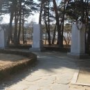 개미목장 이미지