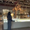 대덕대로(유성-5) | 대전 아이와 가볼만한곳 실내 국립중앙과학관 겨울 아이랑 추천