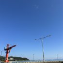 보성 지중해 캠핑장 수산물시장 오션뷰 야영장 A1 사이트 지라프 구이바다 m 후기