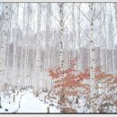 성화당 네이버블로그