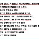 법인한드림