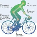 에스라인헬스 이미지