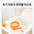 5~6개월 초기 이유식 준비물 리스트, 비용 공유 (마음의 준비만 남음)
