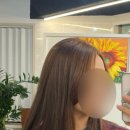 황금헤어샵 - 동구 | 황금헤어샵