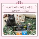 내추럴펫 | 네이버 펫 바우처 혜택 및 사용법, 내추럴발란스 구매 후기