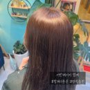 백두프라자 | [범계미용실] &#39;어반베이지&#39; 방문 후기(범계역 일대일 미용실 추천, 염색맛집)
