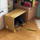 멈머(mummuh) | 대전 강아지 수제간식 멈머 배송주문 후기