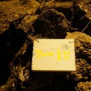 나비민박 이미지