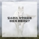 편안한방병원