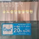 송도종합동물병원 이미지