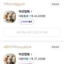 이선장회 이미지