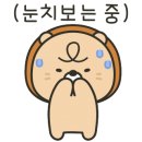 진주킹덤주짓수 이미지