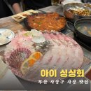 아이싱싱회 이미지