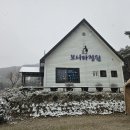 보니타정원 이미지