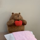 일루왁싱 _ 선릉역 왁싱 맛집 추천 / 그 外 일상 (블태기 박쌀!)