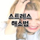 주식회사 단톡 네이버블로그