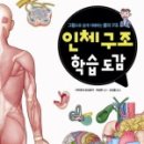 권구조 이미지