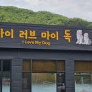 러브애견 이미지