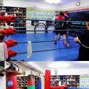 복싱체육관 이미지