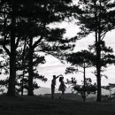 성흥로97번길 이미지