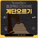 성수역점 스포애니 이미지