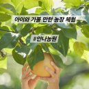 가평곤충농장 이미지