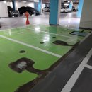 선명기계공구 | 주차장 에폭시 도색 후기 정리, 실패없는 선택하기