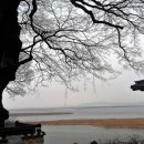 새만금바람길 이미지