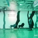 지하상가 만남의광장 이미지