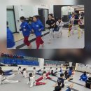 티앤티태권도장 네이버블로그