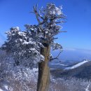 세교동사무소 앞 이미지
