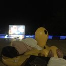 안녕 제주 이미지