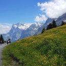 (주)울림트레블 | 인터라켄 융프라우 하이킹, 알프스 정상에서 스위스를 걷다